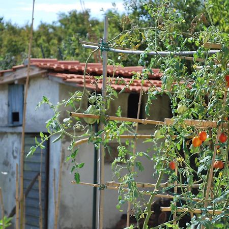 Apartmán Casa S.Maria Levane Exteriér fotografie
