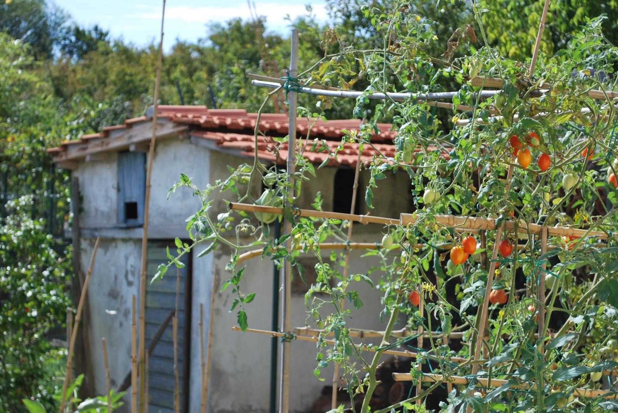 Apartmán Casa S.Maria Levane Exteriér fotografie